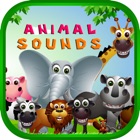 Animal Sounds - Toddler Animal Sounds and Pictures