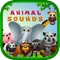 Animal Sounds is an educational games for kids which helps kids to entertain and help parents to teach kids about animals and birds