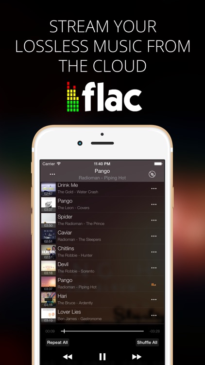 Flacbox - FLAC, MP3 Music Player & Audio Streamer