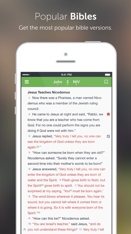 NIV Bible*