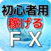 初心者の為のFX・選挙で大きく動く相場！ボーナスGETせよ！