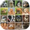 Cute Puppy Dogs Jigsaw Puzzles Games for Kids