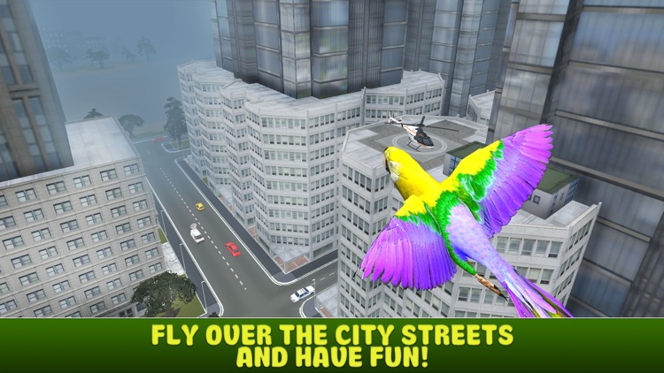 City Parrot Simulator 3D Full screenshot-4