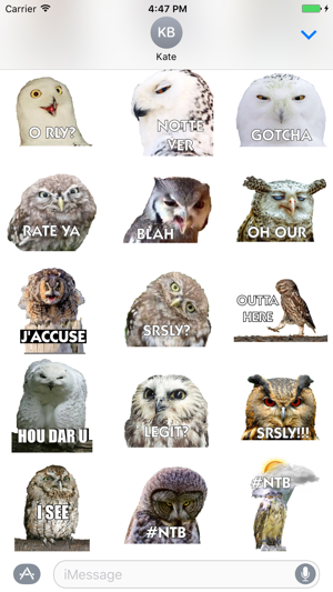 Talking Owl Sticker for iMessage