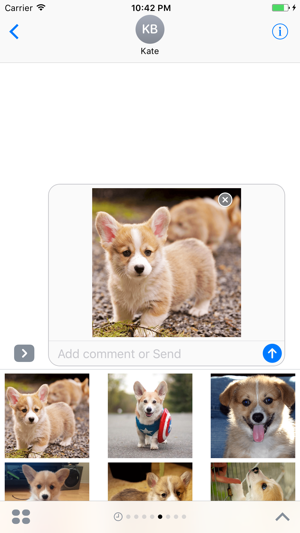 Corgi Sticker Pack