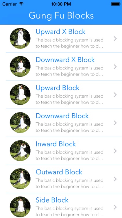 Gung Fu Blocks