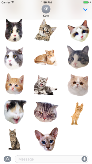 Cute cat with emotion face sticker pack(圖3)-速報App