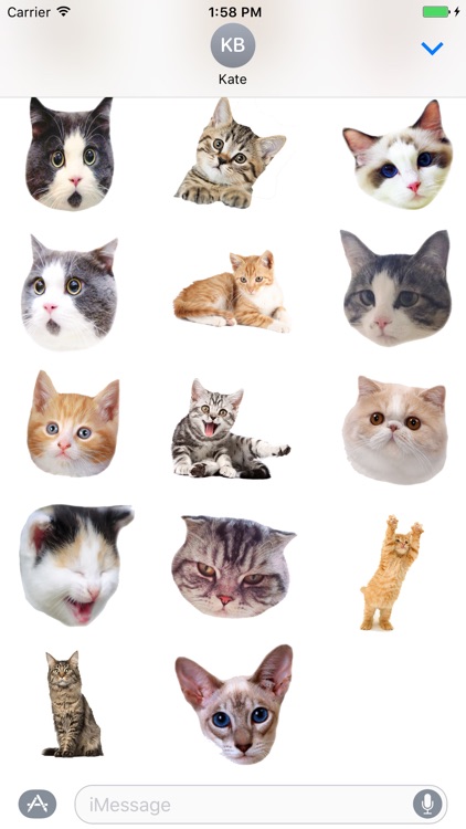 Cute cat with emotion face sticker pack