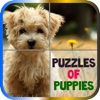 Puzzles of Puppies