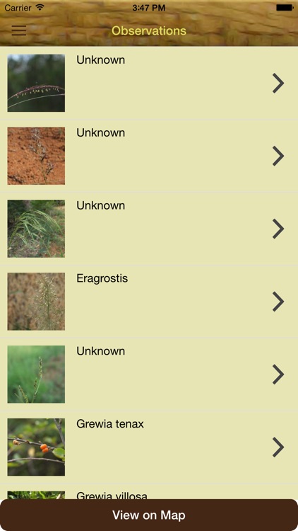 India Biodiversity Portal