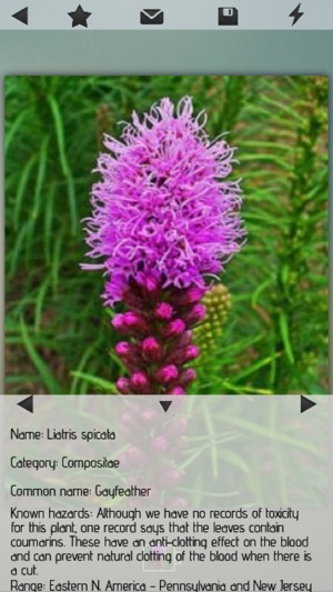 Medicinal Plants Collection HD(圖1)-速報App