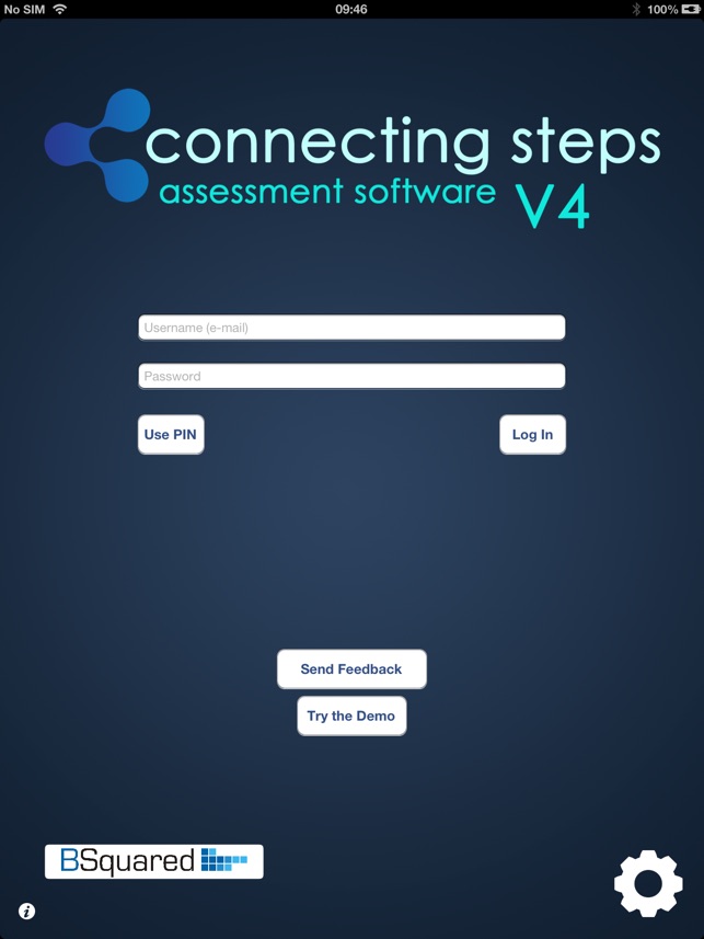 Connecting Steps Assessment Tool