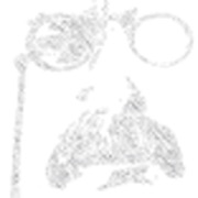 Bullfeathers