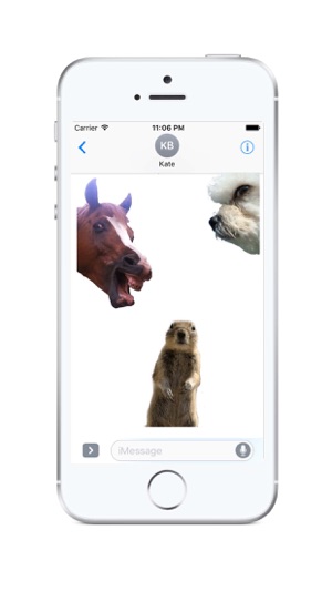 Animal Photobombs - Free, Classic, Horse, Llama(圖1)-速報App