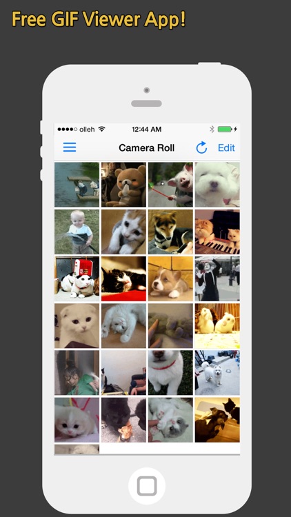 GIF Show - GIF Viewer and Album