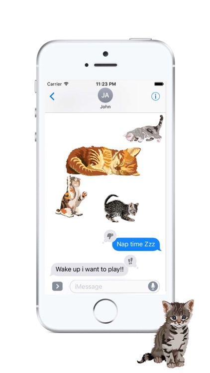 Cute Kittens - Cat Art, Stickers