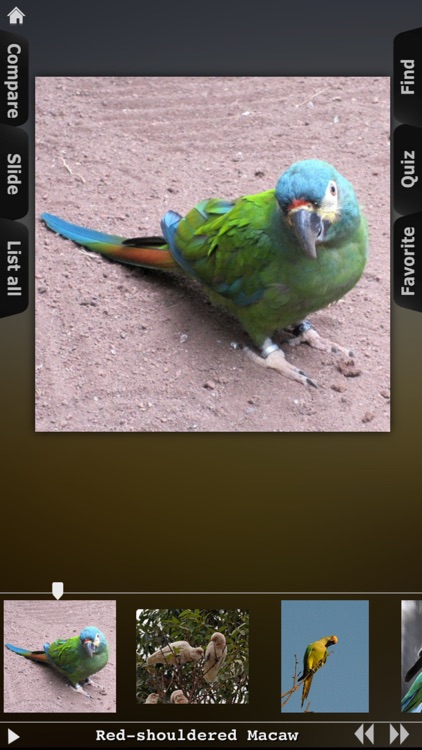 Parrot Catalog