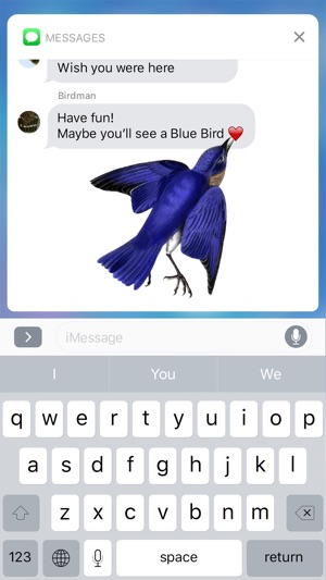 Birds - Premium Stickers - Volume 1(圖3)-速報App
