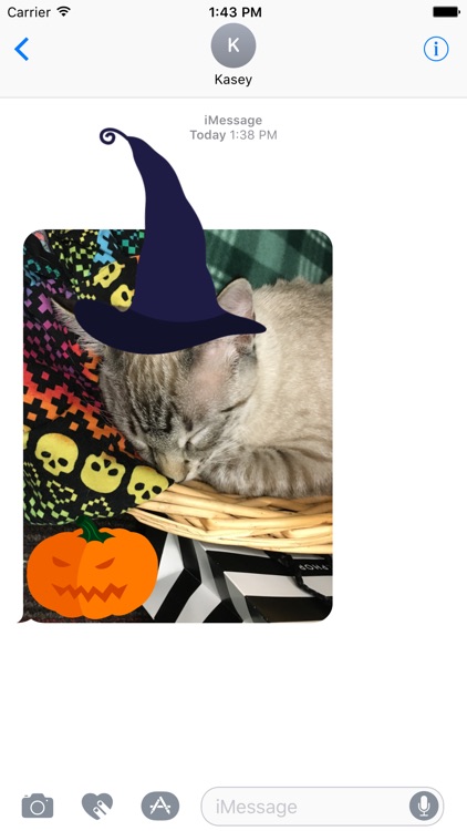 Halloween Sticker-Pack screenshot-4