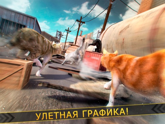 супер кот том бегун | мой милый кошка гонки игра для iPad