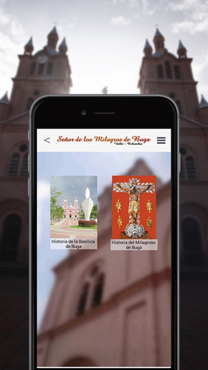 Milagroso de Buga Colombia screenshot-4