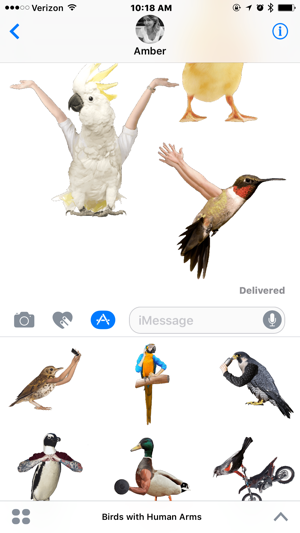 Birds with Human Arms(圖4)-速報App