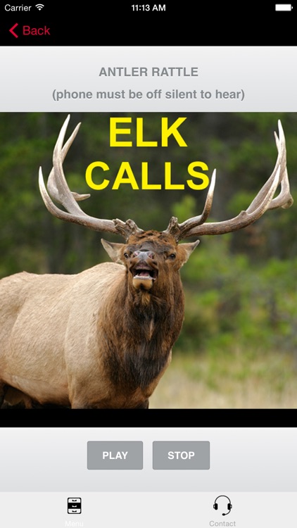 Elk Bugle & Elk Calls