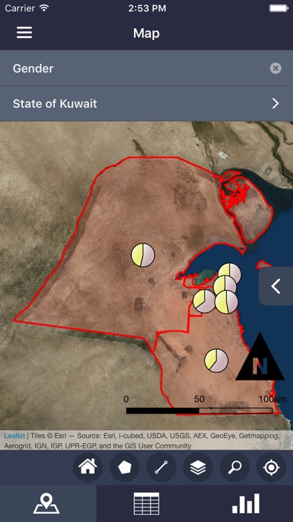 Kuwait Census 2011