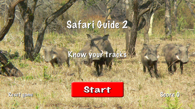 Safari Guide 2