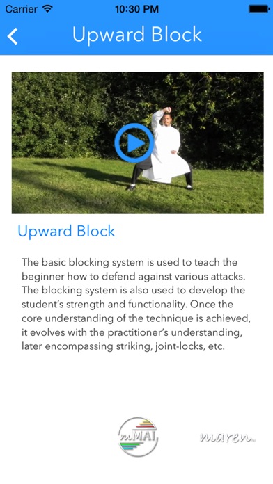 Screenshot #1 pour Gung Fu Blocks