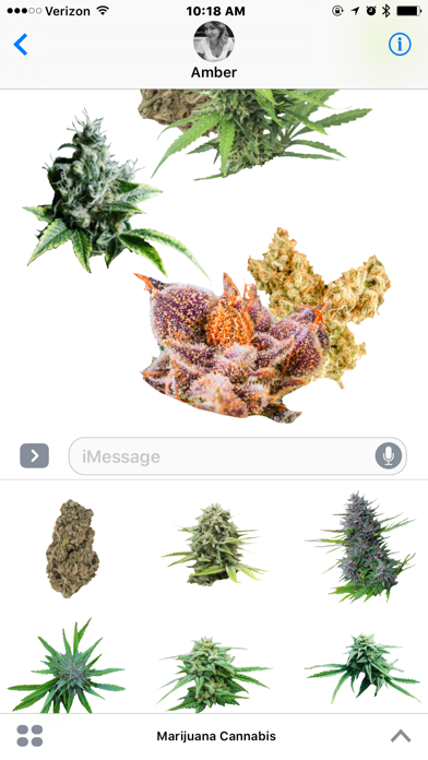 How to cancel & delete Marijuana Cannabis from iphone & ipad 1