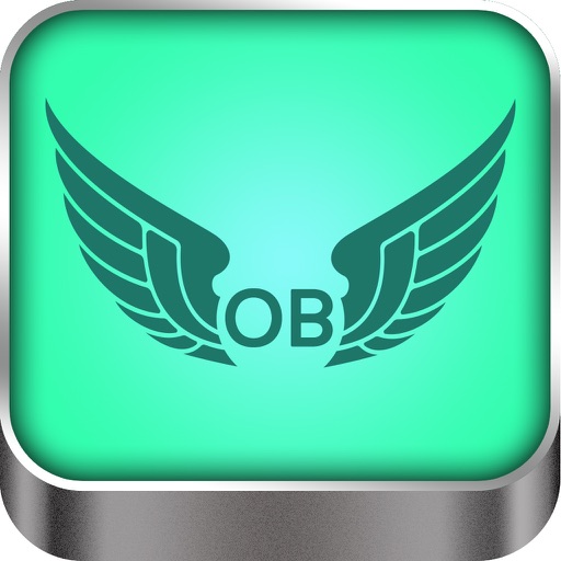 ProGame for - Owlboy Icon