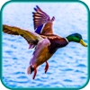 Duck Hunting Game - Bird Shot Shooting Sniper Hunt Season Pro