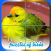 Puzzles of Birds