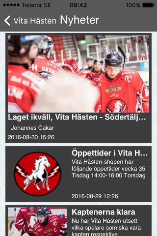 HC Vita Hästen screenshot 3