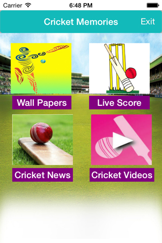 Cricket Memories screenshot 3