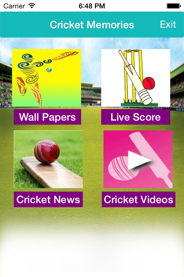 Cricket Memories screenshot 3