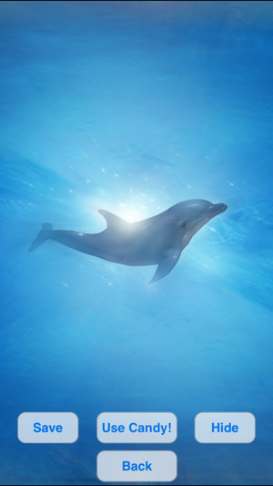 Lovely Dolphins Slideshow & Wallpapers(圖5)-速報App