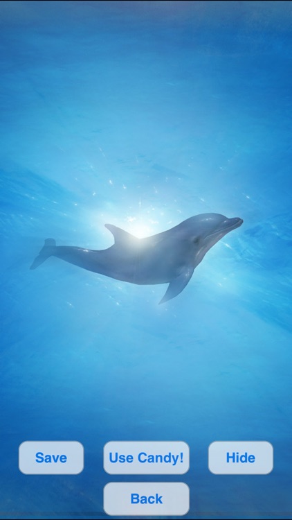 Lovely Dolphins Slideshow & Wallpapers screenshot-4