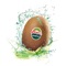 ¡Descubre la nueva aplicación de kiwis Zespri