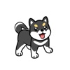 Pumpkin The Lovely Shibainu Animated Stickers