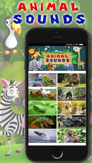 Animal Sounds - Toddler Animal Sounds and Pictures(圖2)-速報App