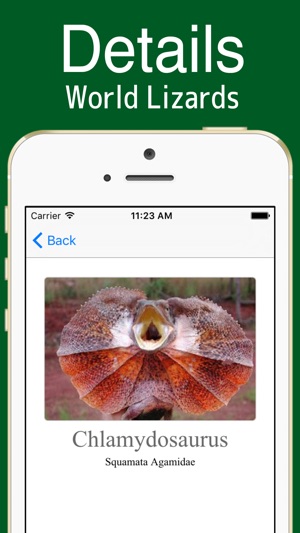 World Lizards!(圖4)-速報App