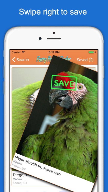 Furry Friend Finder - Animal Rescue Pet Adoption