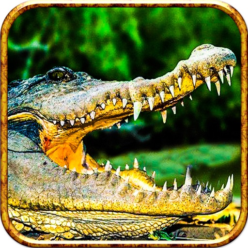 2016 3D Alligator Sniper Attack Pro - Crocodile Wildlife Reload Hunting Simulator icon