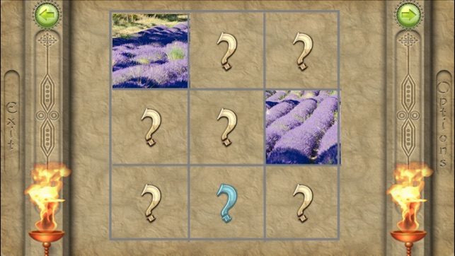 FlipPix Jigsaw - Lavender(圖2)-速報App