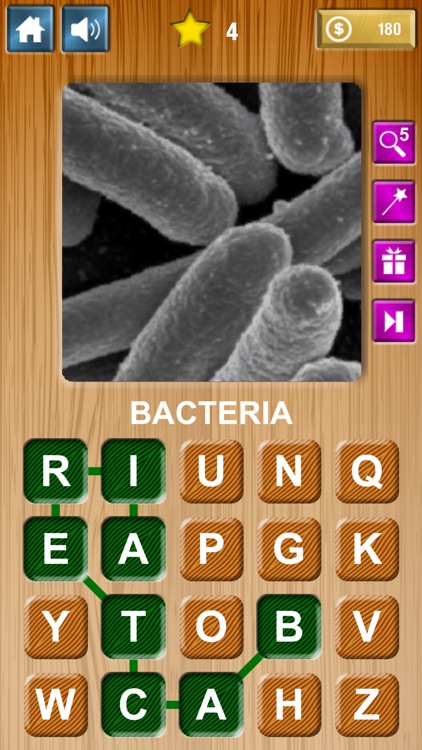 Zoom & Hidden Word - Science Edition