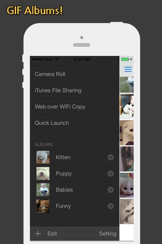 GIF Show Pro - GIF Viewer and Album screenshot 3