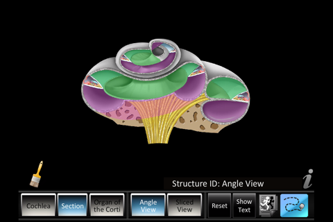 Inner Ear ID screenshot 2