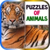 Puzzles of Animals
